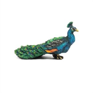 Philipp der Pfau, (Peacock)