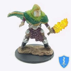 D&D Icons o.t. Realms Elf male Fighter painted